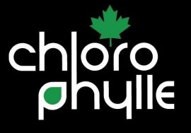Chlorophylle – Siège social
